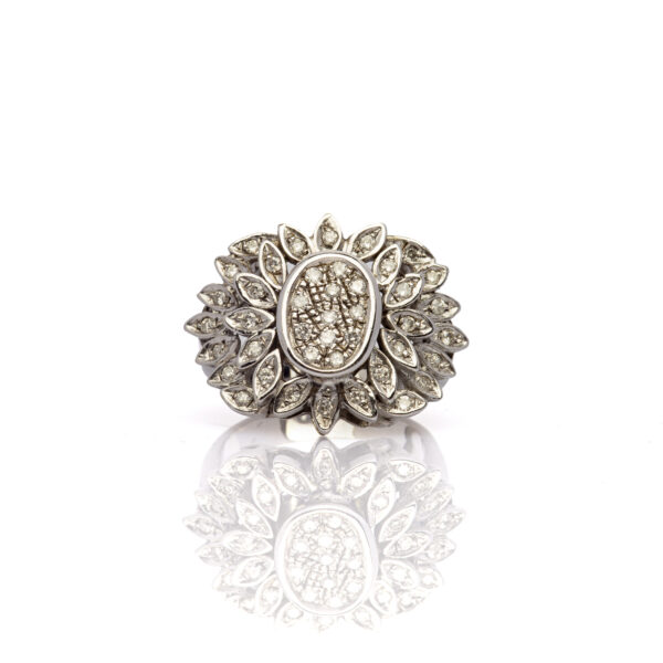 Anello spoletta