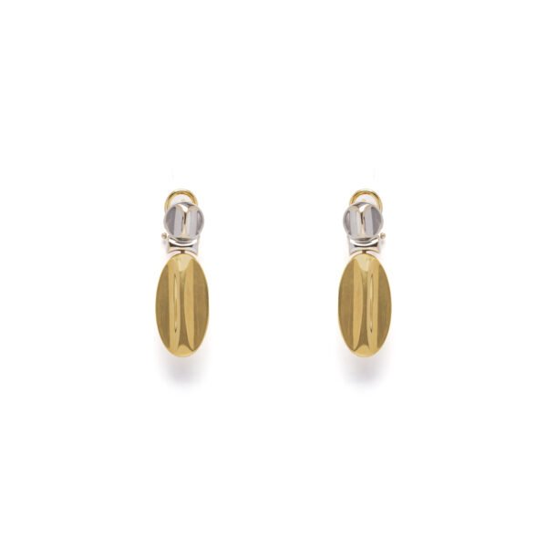 CHIMENTO - Orecchini bicolore