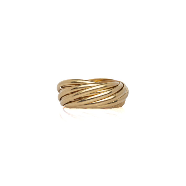 Anello multifede - immagine 2